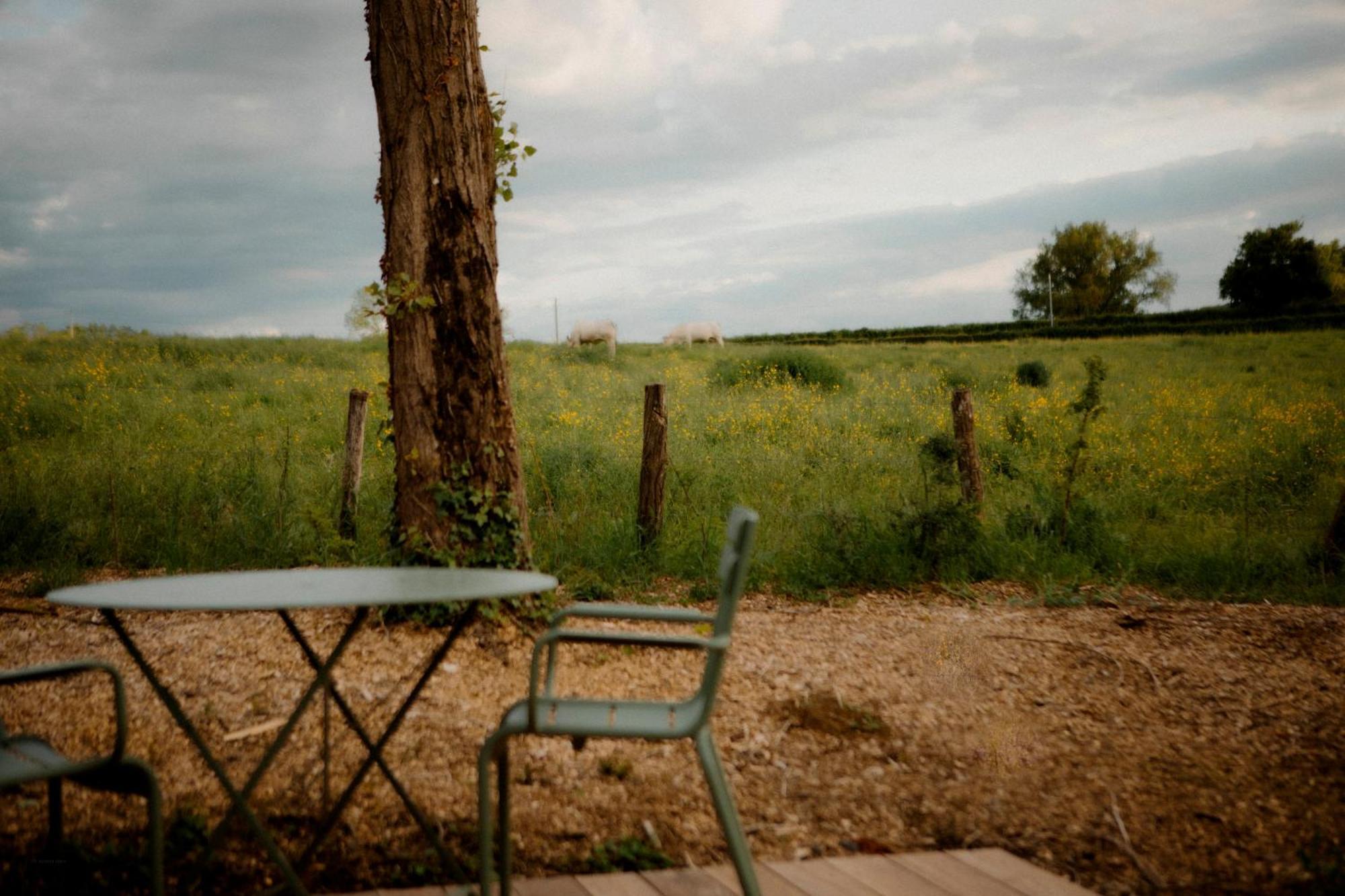 La Suite Prairie Tomette Singuliere Chateau  Exterior foto
